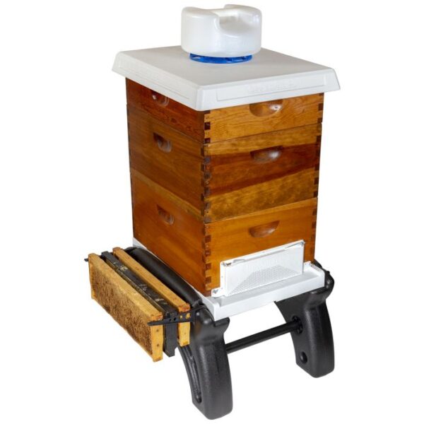 8-Frame Ultimate Hive Stand - Image 4