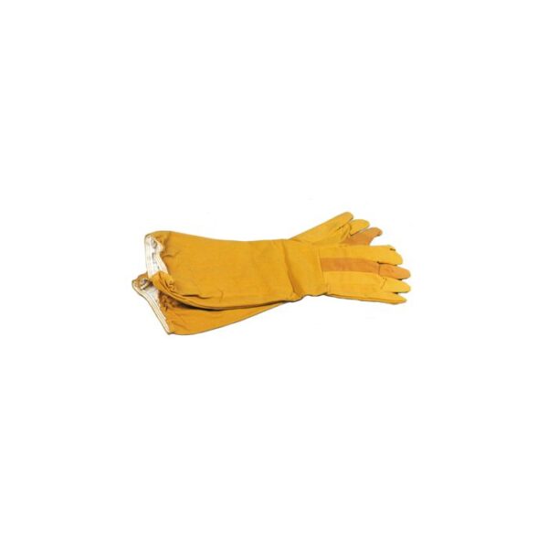 Canvas Gloves